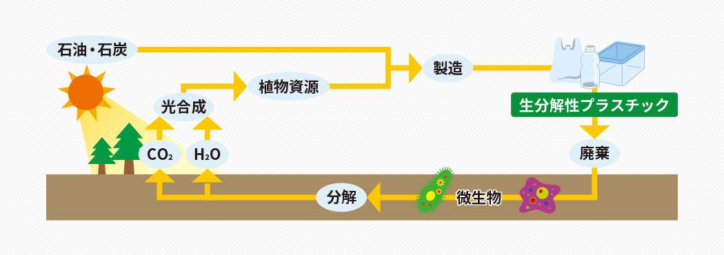 生分解性（または生物分解性）について図解