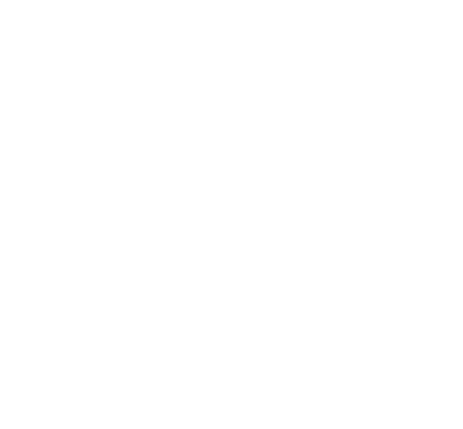 80th anniversary