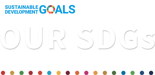 OUR SDGs SUSTAINABLE DEVELOPMENT GOALS